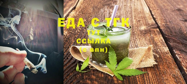 индика Ельня